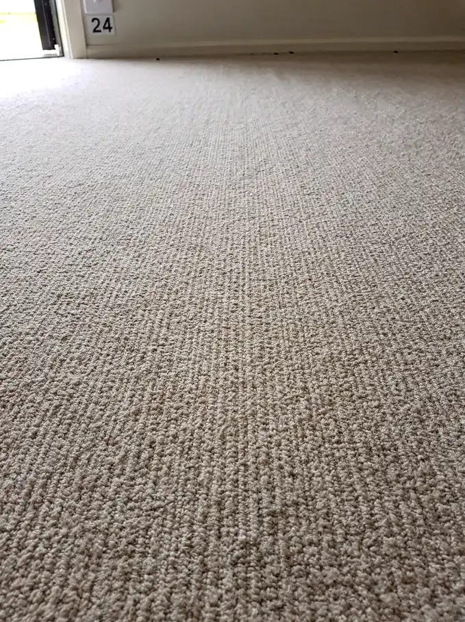 Close-up of freshly restored plush carpet pile with even groom lines in Rockingham.