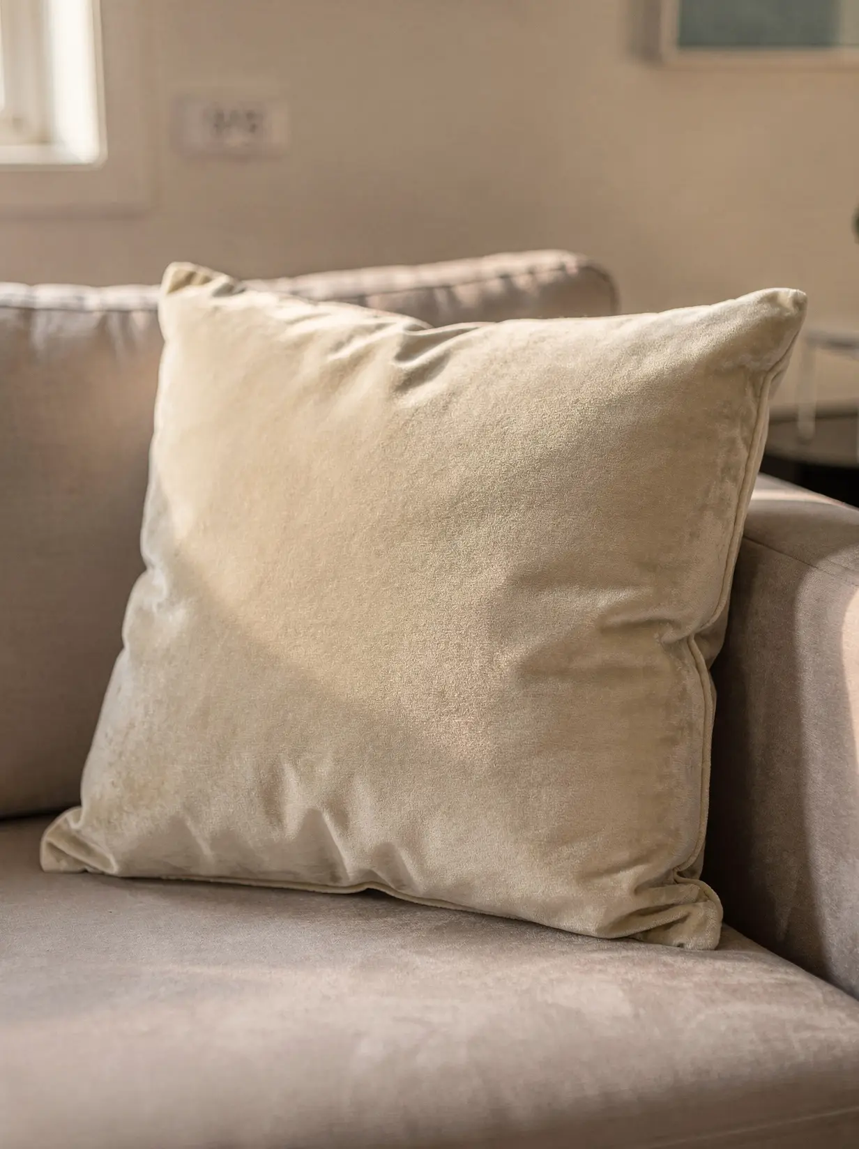 Freshly cleaned cream velvet sofa cushion with restored plush pile in warm window light.